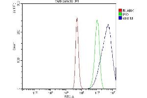 Flow Cytometry analysis of A431 cells using anti-GHITM antibody (ABIN7599294). (GHITM Antikörper  (AA 1-345))