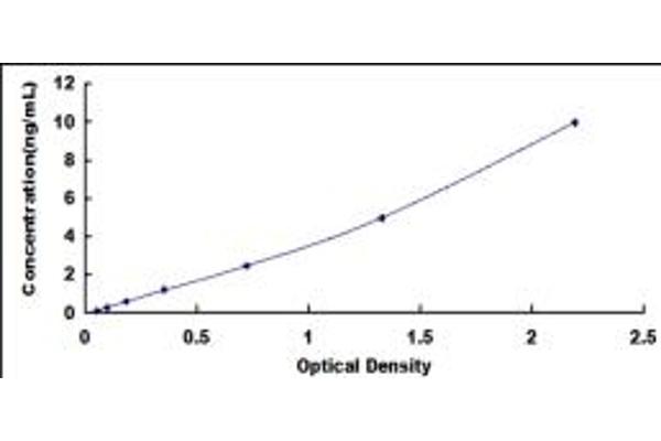 BRCA2 ELISA Kit