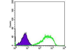 Flow Cytometry (FACS) image for anti-X-Ray Repair Complementing Defective Repair in Chinese Hamster Cells 5 (Double-Strand-Break Rejoining) (XRCC5) antibody (ABIN969463)