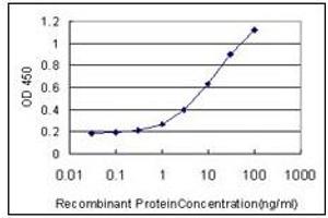 ELISA image for anti-Runt-Related Transcription Factor 2 (RUNX2) (AA 251-351) antibody (ABIN614586)