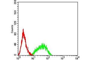 Flow Cytometry (FACS) image for anti-RAB27B, Member RAS Oncogene Family (RAB27B) (AA 2-218) antibody (ABIN7193266)