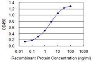 ELISA image for anti-Eukaryotic Translation Initiation Factor 4 Gamma, 1 (EIF4G1) (AA 1500-1599) antibody (ABIN515212)