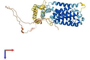 RHBDL1 Protein (AA 1-438) (His tag)