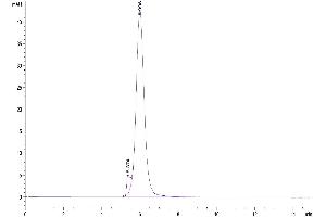 The purity of Mouse CD24 is greater than 95 % as determined by SEC-HPLC. (CD24 Protein (AA 27-53) (mFc Tag))