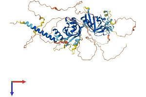 HIF3A Protein (AA 1-669) (His tag)