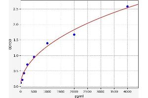 Growth Differentiation Factor 3 (GDF3) ELISA Kit