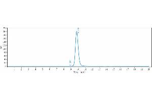 The purity of Anti-IL-33 Reference Antibody (etokimab) is 99.