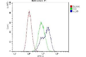 Flow Cytometry analysis of Daudi cells using anti-CD229 antibody (ABIN6719290).
