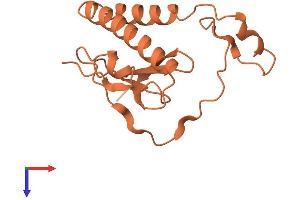 AlphaFold protein structure predicition of Human Recombinant ADARB2-AS1 Protein, UniprotID A8MUL3