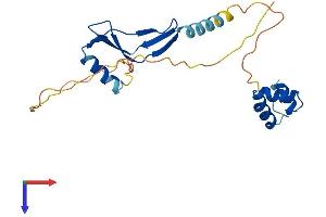 NACA2 Protein (AA 1-215) (His tag)