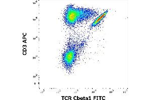 Flow cytometry multicolor surface staining of human lymphocytes stained using anti-human TCR Cbeta1 (JOVI. (TCR, Cbeta1 Antikörper (FITC))