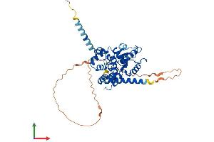 AlphaFold protein structure predicition of Mouse Recombinant Chst8 Protein, UniprotID Q8BQ86
