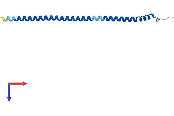 ATP6V1G3i Protein (AA 1-118) (His tag)