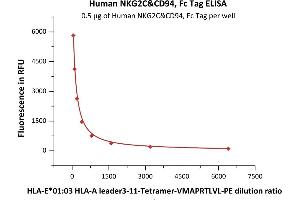 Immobilized Human NKG2C&CD94, Fc Tag (ABIN6973177) at 5 μg/mL (100 μL/well) can bind HLA-E*01:03 HLA-A leader3-11 TetraTLVL-PE,TS-ME01-1 (QC tested). (NKG2C & CD94 (AA 94-231) (Active) protein (Fc Tag))