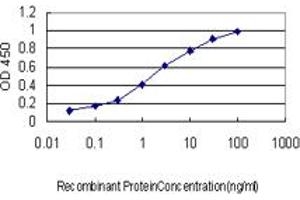 Detection limit for recombinant GST tagged FMR1 is approximately 0. (FMR1 Antikörper  (AA 121-220))