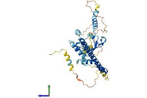 AlphaFold protein structure predicition of Human Recombinant DNAJC18 Protein, UniprotID Q9H819