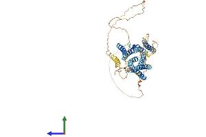 AlphaFold protein structure predicition of Mouse Recombinant Slc39a7 Protein, UniprotID Q31125