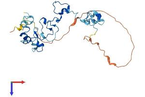 CPSF4 Protein (AA 1-269) (His tag)