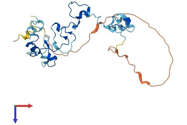 CPSF4 Protein (AA 1-269) (His tag)