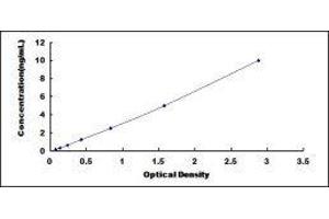 ELISA image for Protocadherin gamma Subfamily A, 2 (PCDHGA2) ELISA Kit (ABIN419699)