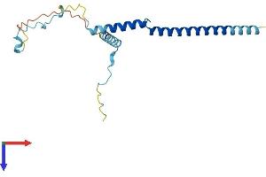 PDAP1 Protein (AA 1-181) (His tag)