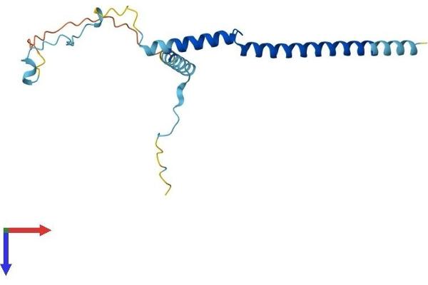 PDAP1 Protein (AA 1-181) (His tag)
