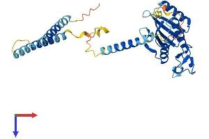 MED27 Protein (AA 1-311) (His tag)