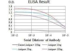 Black line: Control Antigen (100 ng), Purple line: Antigen(10 ng), Blue line: Antigen (50 ng), Red line: Antigen (100 ng), (EGFR Mutant (AA 693-893) Antikörper)