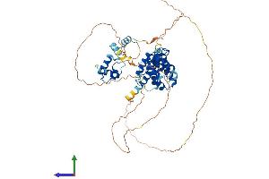 Protein Structure (PS) image for Telomeric Repeat Binding Factor 2 (TERF2) (AA 1-542) protein (His tag) (ABIN7555714)