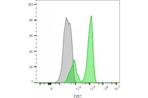 Flow Cytometry (FACS) image for anti-CD3 epsilon (CD3E) antibody (ABIN6941032)