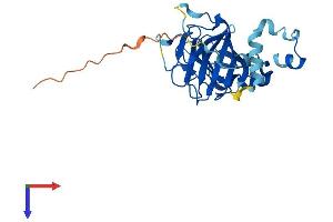 SPSB2 Protein (AA 1-263) (His tag)