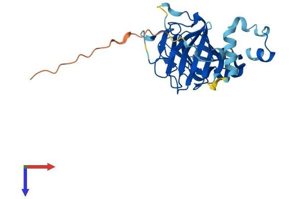 SPSB2 Protein (AA 1-263) (His tag)