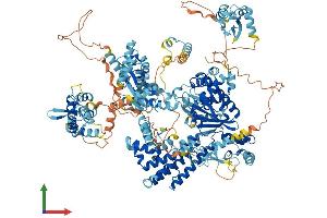 AlphaFold protein structure predicition of Human Recombinant SCAND3 Protein, UniprotID Q6R2W3