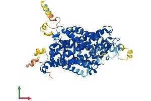 Protein Structure (PS) image for Taurine Transporter (TAUT) (AA 1-620) protein (His tag) (ABIN7551695)