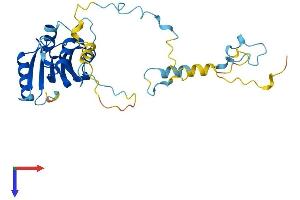 CIAPIN1 Protein (AA 1-312) (His tag)