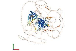 Protein Structure (PS) image for SUMO1/sentrin Specific Protease 6 (SENP6) (AA 1-1132) protein (His tag) (ABIN7564092)
