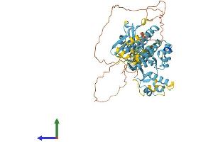 Protein Structure (PS) image for MARE (C16orf35) (AA 1-569) protein (His tag) (ABIN7549801)