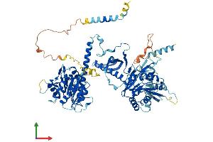 AlphaFold protein structure predicition of Human Recombinant CHPF2 Protein, UniprotID Q9P2E5