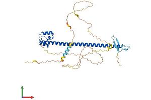 Protein Structure (PS) image for Nuclear Factor (Erythroid-Derived 2), 45kDa (NFE2) (AA 1-373) protein (His tag) (ABIN7549788)