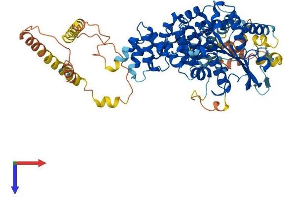 SERAC1 Protein (AA 1-654) (His tag)