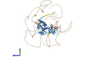 AlphaFold protein structure predicition of Mouse Recombinant Sh2b1 Protein, UniprotID Q91ZM2