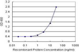 Sandwich ELISA detection sensitivity ranging from 1 ng/mL to 100 ng/mL. (PPP3R2 (Human) Matched Antibody Pair)
