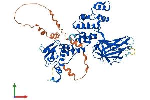 Protein Structure (PS) image for BTB (POZ) Domain Containing 3 (BTBD3) (AA 1-530) protein (His tag) (ABIN7556524)