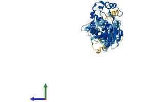 Protein Structure (PS) image for Mixed Lineage Kinase Domain-Like (MLKL) (AA 1-471) protein (His tag) (ABIN7549487)