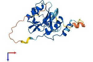 JOSD1 Protein (AA 1-202) (His tag)
