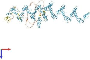 AlphaFold protein structure predicition of Human Recombinant ZNF845 Protein, UniprotID Q96IR2
