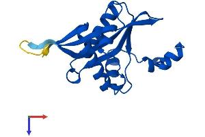 SAT2 Protein (AA 1-170) (His tag)