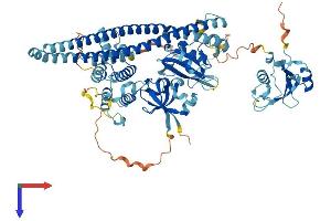 PIK3R2 Protein (AA 1-722) (His tag)