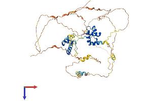 MIER2 Protein (AA 1-541) (His tag)