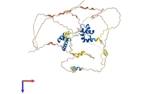 MIER2 Protein (AA 1-541) (His tag)